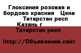 Глоксиния розовая и бордово-красная › Цена ­ 150 - Татарстан респ., Казань г.  »    . Татарстан респ.